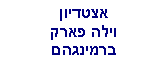 Text Box: אצטדיוןוילה פארקברמינגהם