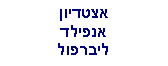 Text Box: אצטדיוןאנפילדליברפול